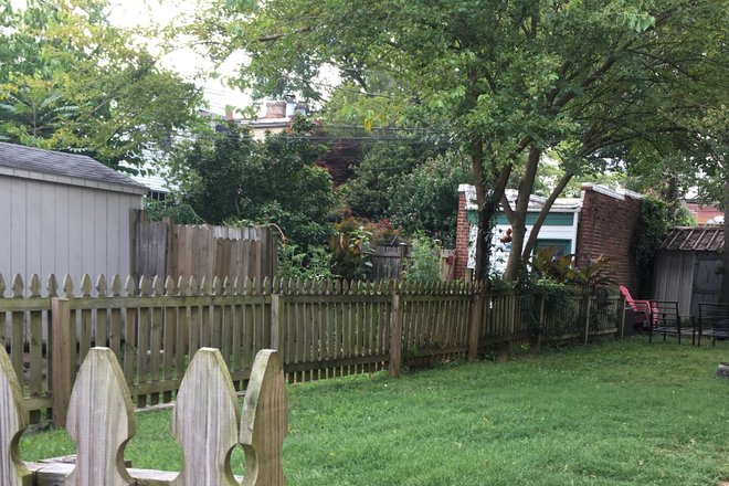 Shared Yard - JULY 1st - FanTastic Studio Apartment