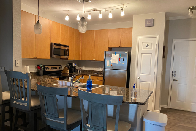 kitchen - 1BR/BA Available August 15 ALL INCLUSIVE/ FULLY FURNISHED Condo (shared housing)