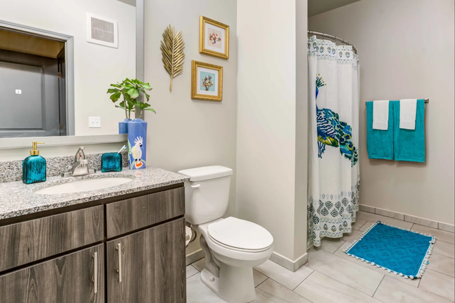 Bathroom - The Union on Fletcher Apartments