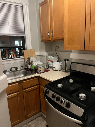 Kitchen - Harvard Square 1-Bedroom Apartment Summer Sublet