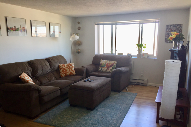 Living Room - 9/1 Spacious  One Bedroom with Den, HI -RISE Condo, Garage Hardwood flr, Walk to HARVARD SQ By Owner