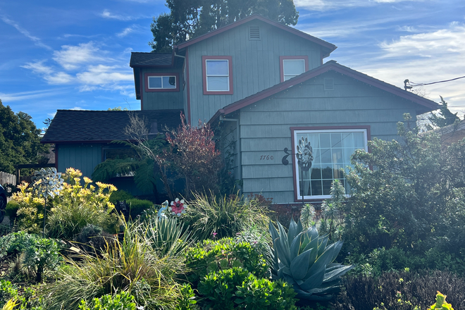 Front of House - Hillside Family Home with Bay Views and Expansive Back Yard