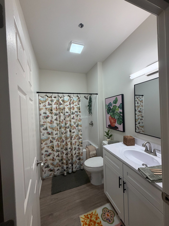 The bathroom has been upgraded in the past year with white appliances and a white vanity. - Boone Student Living Apartments