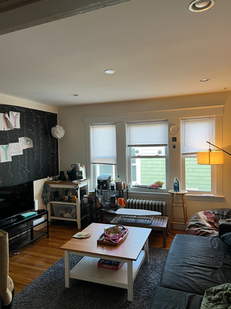 Living Room - Jamaica Plain Apt. ,1 RM, possible cat!