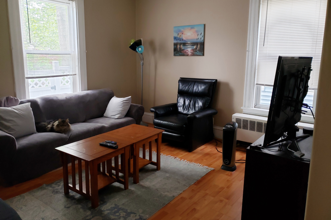 Living room - Rooms $1,050-1,300/month. 3 or 4 bedroom 2 baths Apartments. Walk to Harvard and MIT. Walk to T.