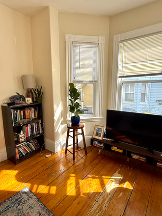 Livingroom - Room in Somerville apt | furnished | parking | Year lease with summer sublease option