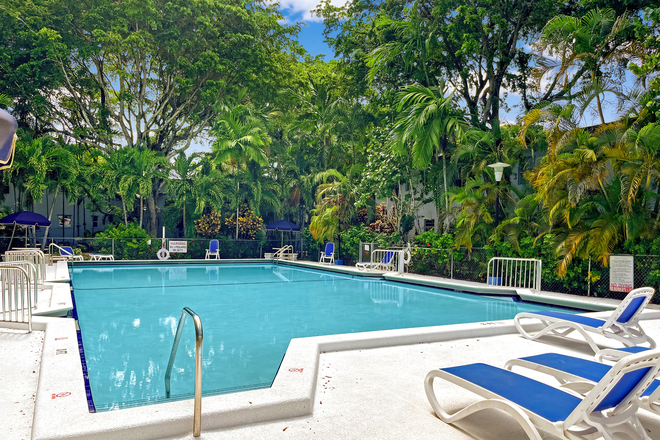 Pool - Discover your South Miami sanctuary! Charming 2/1 condo close to campus