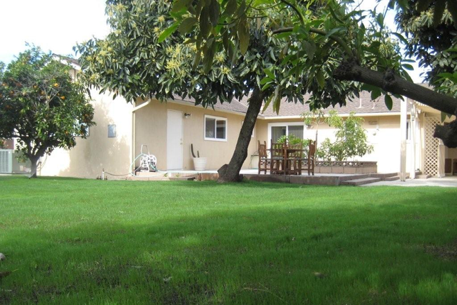 Backyard - House in Orange 3 Bedroom 2 Bath, close to Capman University, shopping and freeways.