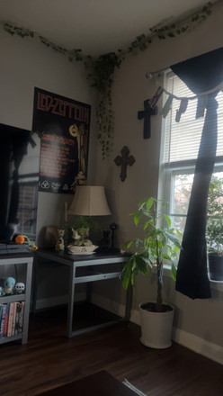 Living room - The deryn