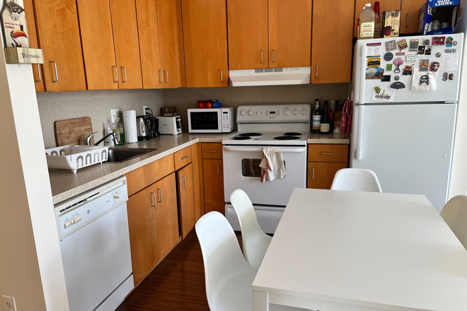 Kitchen - South facing sunny beautifully furnished 2 bed 2 bathroom apartment on HBS campus