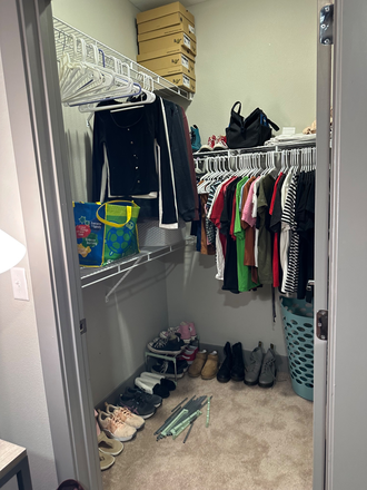 Large closet - Elara at the Sawmill Apartments