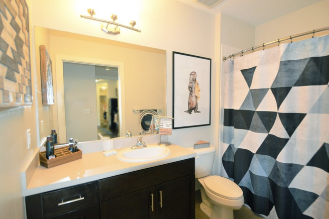 bathroom - University Park Sublease 4X4 Apartments