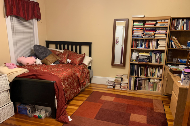 Bedroom, view standing in doorway - Spacious, Sun-Drenched Room Near Davis Square | Walk to Tufts + Red & Green Lines Apartments