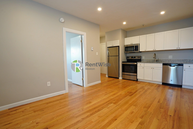 . - SEPT 2025-Gorgeous Comm Ave 1 bed, Cat ok., Elevator!