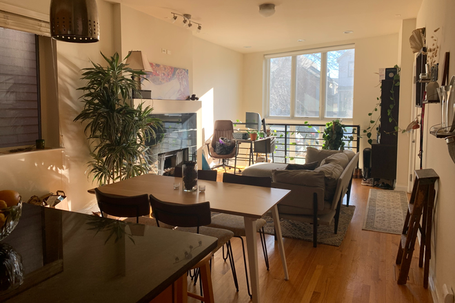 living room/kitchen - Room w/ own bath in large, sunny, 3b/3b duplex unit Apartments
