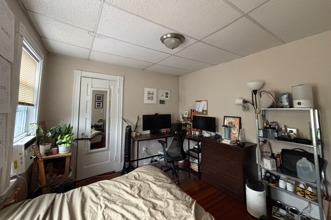 Bedroom - 3 Bedroom Apartment