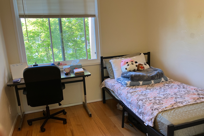 Bedroom for rent. Can leave fully furnished for small price if wanted - Single Bed in 3bd/1ba, Furnished (optional), Safe, Near Campus/Stores, Cedar St & Spruce St