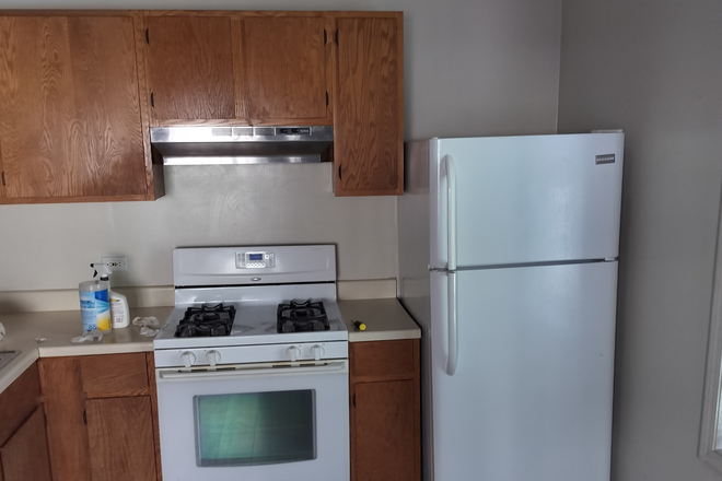 Kitchen stove and fridge - 2 BR/1BA with central A/C, off-street parking and deck in 3 flat - walk to UIC Med Center, UIC, Rush Triplex