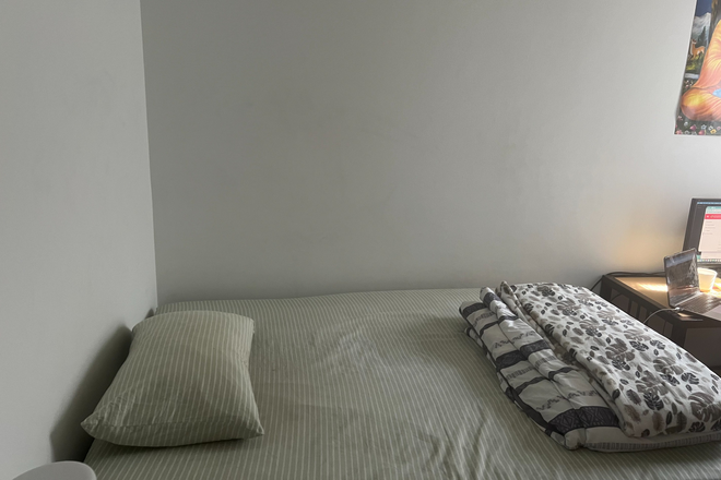 Bed - South Campus Commons 1 Lease Transfer — Spring 2027 Apartments
