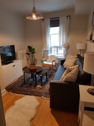 Furnished living room - Furnished 1 Bedroom Private Unit in Quiet House; Walk to U of T or Subway