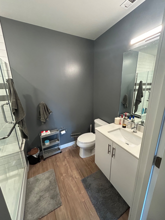 Own bathroom - HUB On Campus East Lansing Apartments