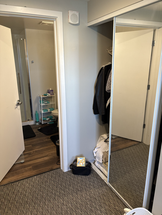 Connected bathroom + shower (apartment will be cleaned prior lease out) - Rise On Chauncey 1B1B Penthouse