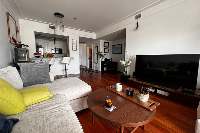 living room - 1B1B apartment in South End near BU Med School/Northeastern. Utilities all included. No broker fee.