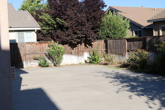backyard - bellevue ranch house with multiple rooms available, near cat tracks $350/$500