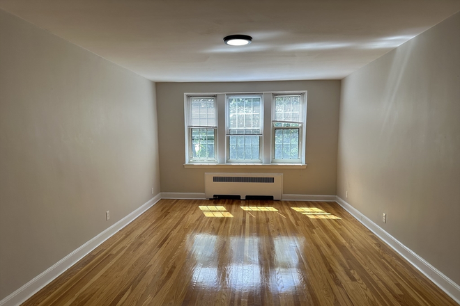 Call call or text Arezou at 617-584-7817 - Spacious 1 bedroom near Harvard sq.!! 1 month free w/12 months lease!!! Apartments