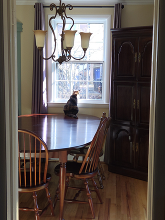 Dining room featuring Sniper - House for 1-2 roommates