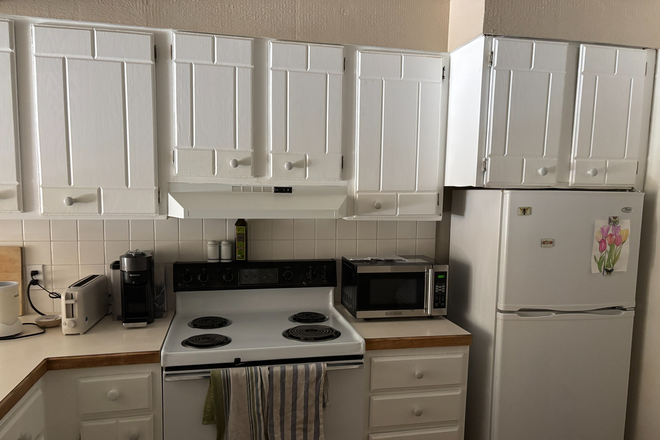 kitchen - Furnished One Bedroom Spring/Spring & Summer Sublet!! Please email/text for more details Apartments