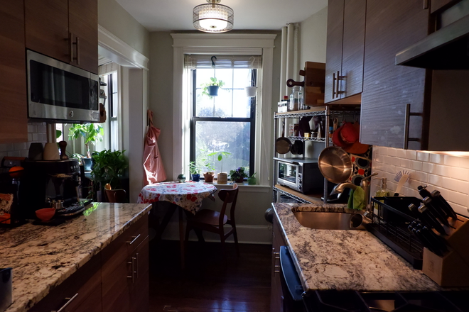 Kitchen - Sublet near Longwood campus Condo