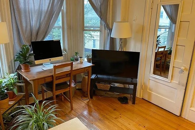 Room 1 - Spacious Room in 2B1B in Central Square Apartments