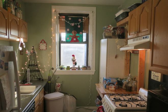 Kitchen - 3 Bed HEMENWAY ST - Next to Campus! - H/HW INCLUDED! Apartments