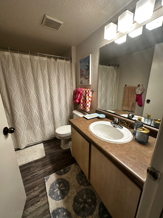 Bathroom - UCF SPRING 2027 SUBLEASE - GIRLS Apartments