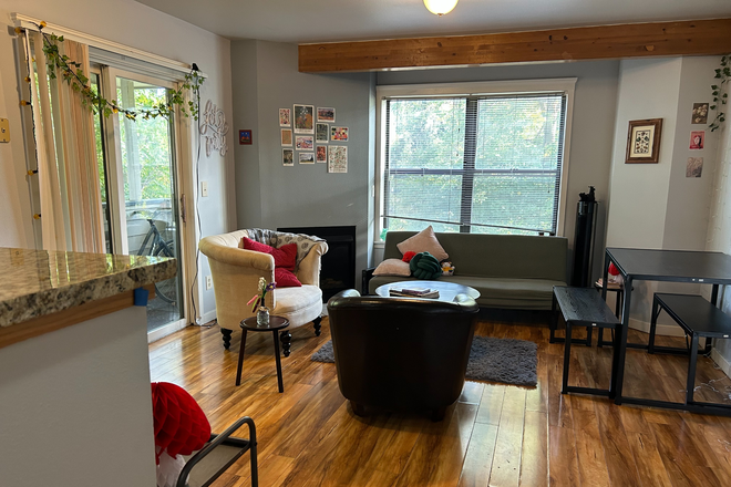Living room/main space - Spring 2026 Sublet, 1 available room of 2 bed 1 bath apt