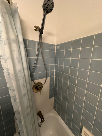 Shower - 2 bedroom 1 bathroom Apartment