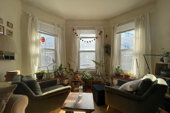 Living room picture #1 - Searching for a third roommate for our cute apartment