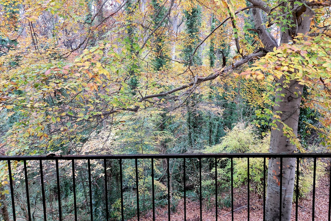 Balcony view - The Apartments at President Park