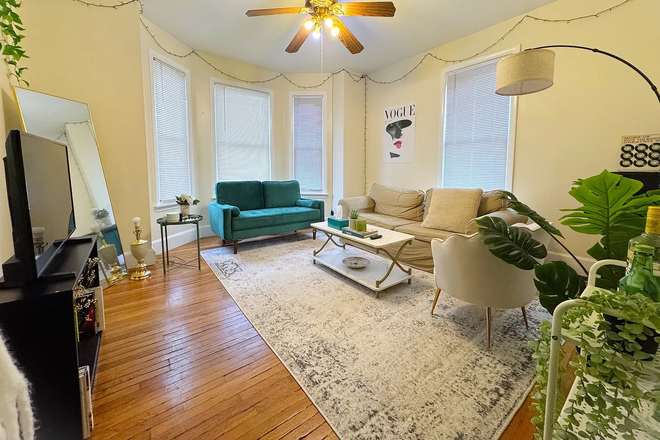 living room - Lovely Brookline 2 bed with large updated kitchen - for 9/1