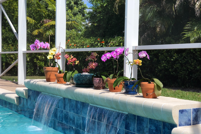 Pool - 4BR Pool Home Near NSU – Updated, Heated Pool & Flexible Living Options