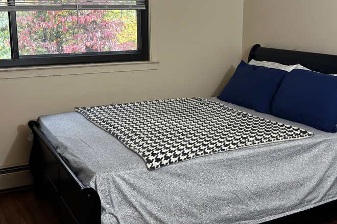 Furnished bedroom - Furnished room in shared apt-Mulberry Row-Princeton