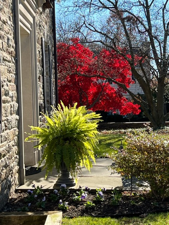 Exterior - Beautiful, comfortable living space in the heart of an elegant Roland Park stone house