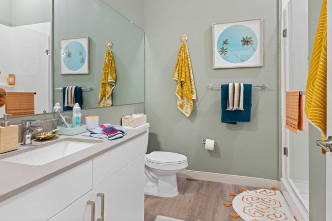 Bathroom - The Hub Tampa Apartments