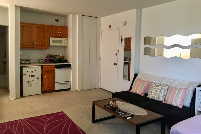Living room area in the studio - The Willoughby of Chevy Chase Condo