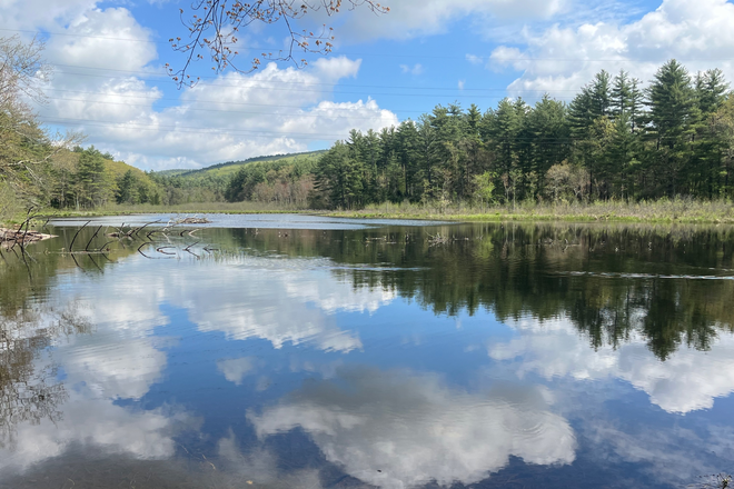Beautiful water nearby - Furnished Bedroom In Beautiful Peaceful Location In Private Home 5 miles From UMass