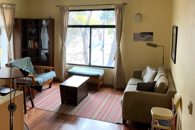 Living room flooded with natural light. - Modern N. Berkeley 1-bed, 1 block from campus. Furnished / includes Internet