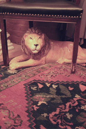 lion - Perfect location for most schools and MGH; furnished rooms by the River, near  Red Line Station Apartments