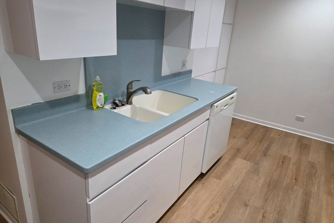 Plenty of kitchen storage - UIC HUGE FURNISHED & ALL-INCLUSIVE PRIVATE ROOM - FEMALE ONLY Townhome