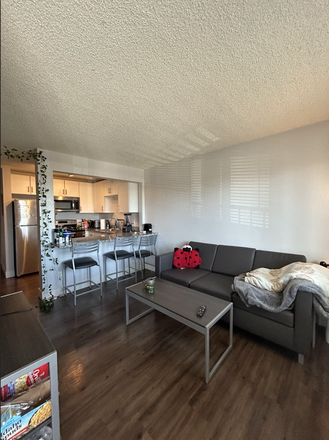 Living Room - PRICE NEGOTIABLE Sunny 2BR With Parking, In-Unit Laundry, Close to Campus, Bus Stop, BCycle Station